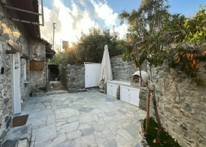 Finikous House-agros Holiday home